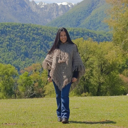 Adesmia light grey 9